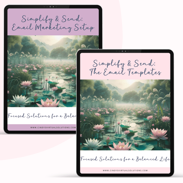 Simplify & Send: The Bundle